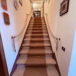 Il Pettirosso Di