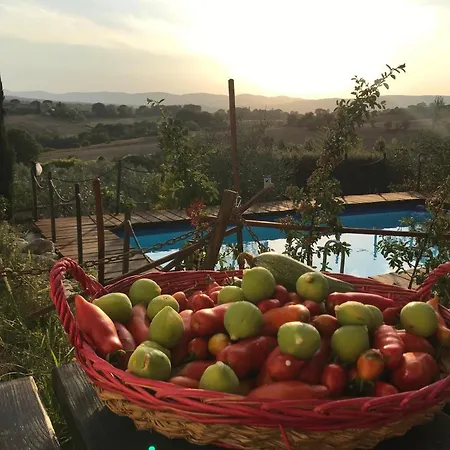 Il Pettirosso Di Casa rural *