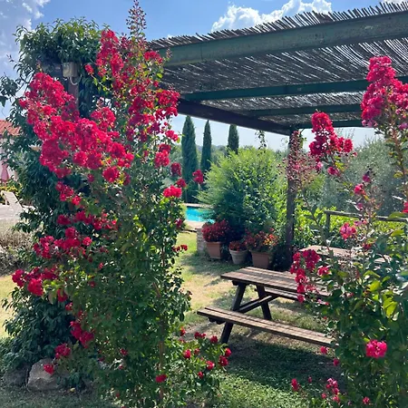 Il Pettirosso Di Casa rural Siena