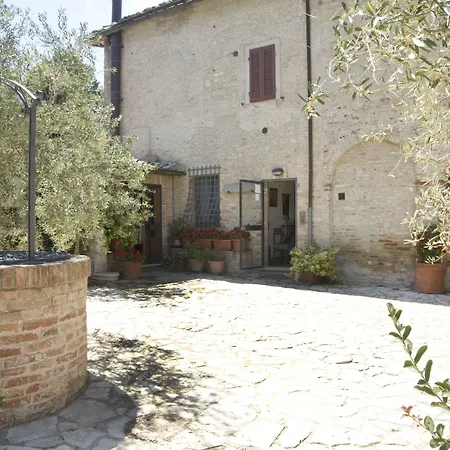 Il Pettirosso Di *