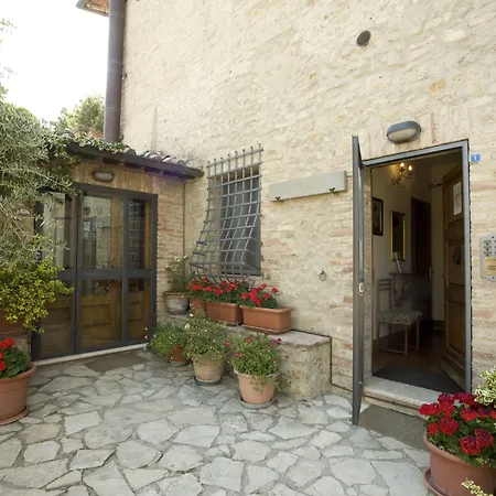 Il Pettirosso Di