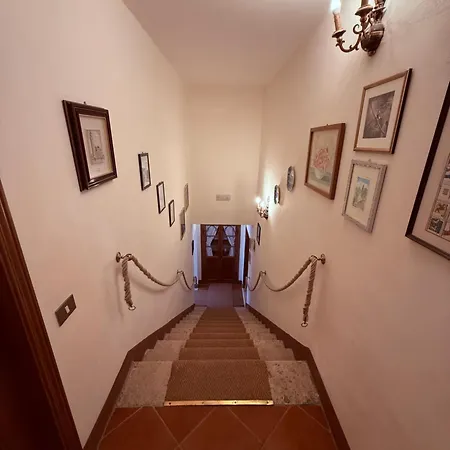 Country house Il Pettirosso Di
