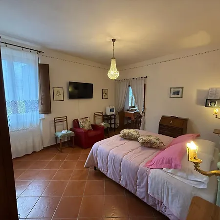 Il Pettirosso Di *