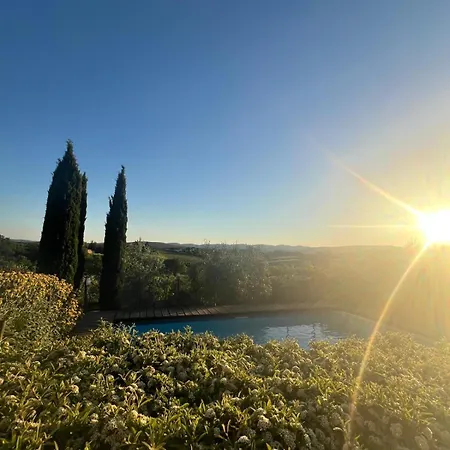 Il Pettirosso Di