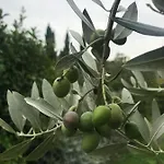 Il Pettirosso Di カントリーハウス *