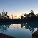 Il Pettirosso Di *
