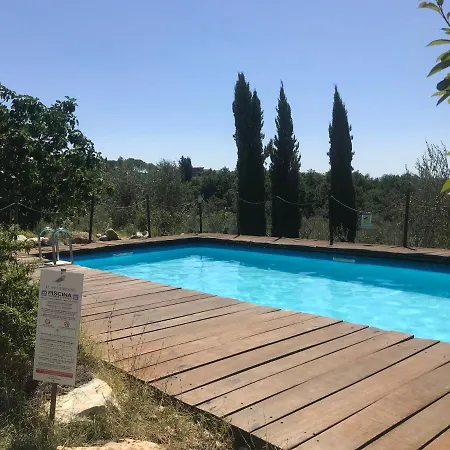 Il Pettirosso Di