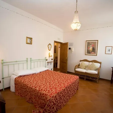 Il Pettirosso Di