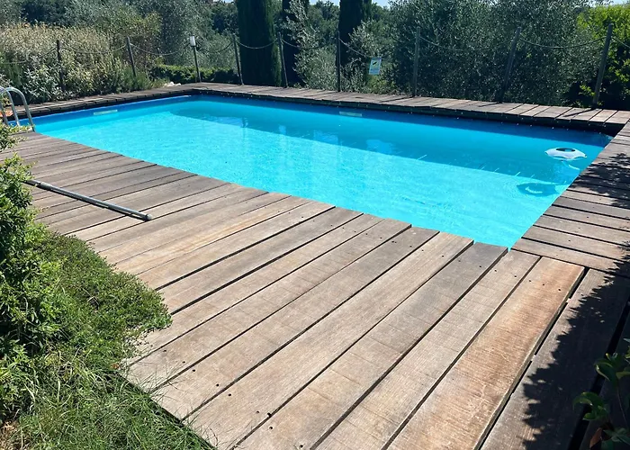 Il Pettirosso Di *