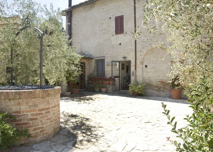 Il Pettirosso Di *